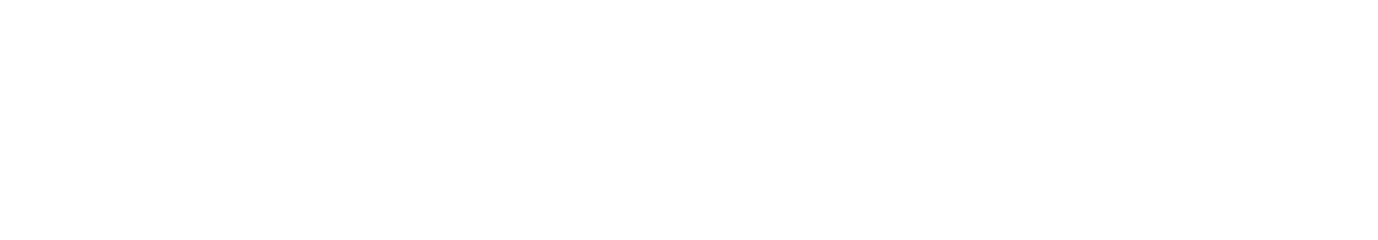 tiggo_w